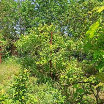 Продается Дом, 45 м²