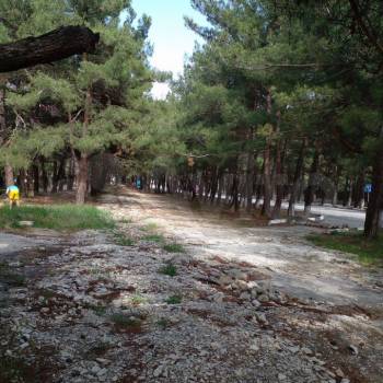 Продается 2-х комнатная квартира, 71,1 м²