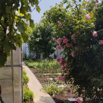 Продается Дом, 83,2 м²