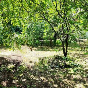 Продается Участок, 600 м²