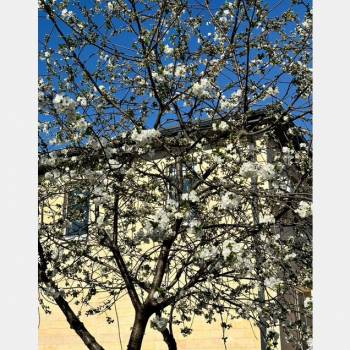 Продается Дом, 92 м²