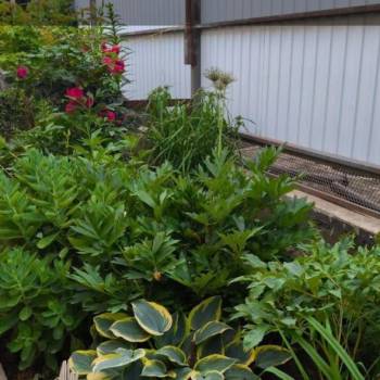 Продается Дом, 70 м²