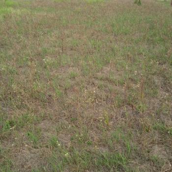 Продается Участок, 802 м²