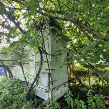 Продается Участок, 650 м²