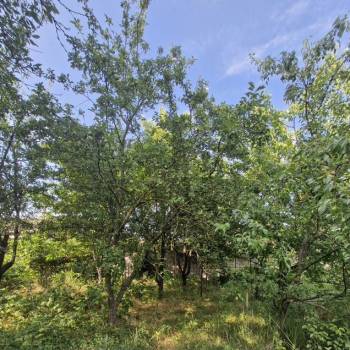 Продается Участок, 650 м²