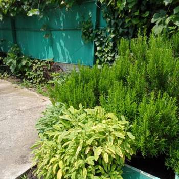 Продается Дом, 91 м²