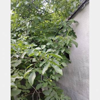 Продается Дом, 38 м²