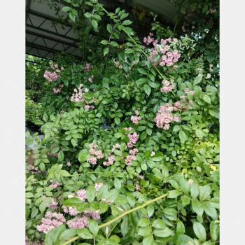 Продается Дом, 38 м²