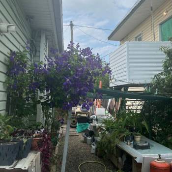 Продается Дом, 60 м²