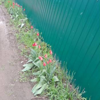 Продается Дом, 20 м²