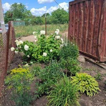 Продается Участок, 600 м²