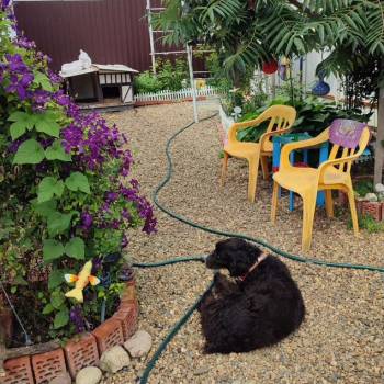 Продается Дом, 82 м²