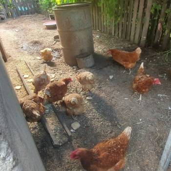 Продается Дом, 24 м²