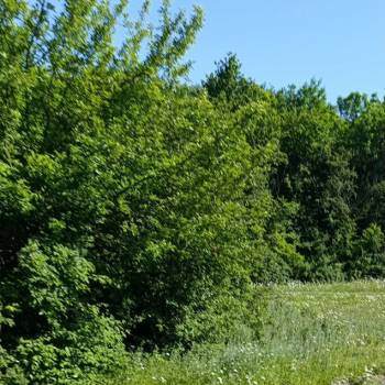 Продается Участок, 520 м²