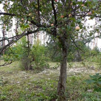 Продается Участок, 400 м²