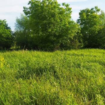 Продается Участок, 1000 м²