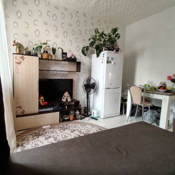 Продается 1-комнатная квартира, 16,8 м²