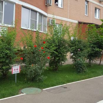 Продается 2-х комнатная квартира, 65,55 м²