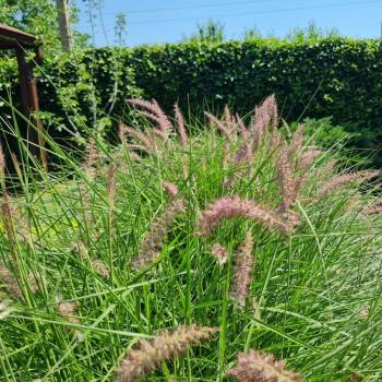 Продается Дом, 122 м²