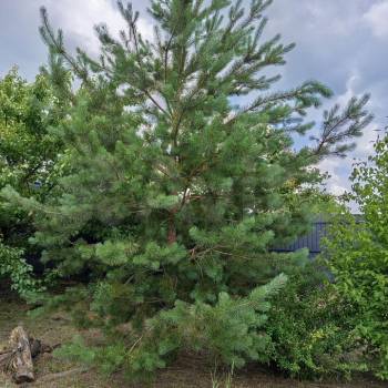 Продается Участок, 2190 м²