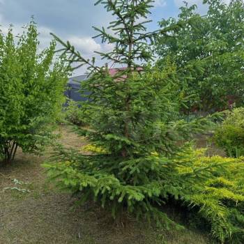 Продается Участок, 2190 м²