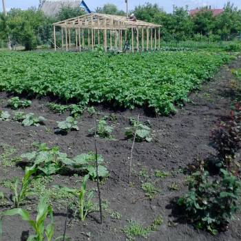 Продается Участок, 2190 м²