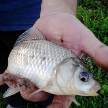 Продается Участок, 2190 м²