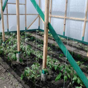 Продается Участок, 2190 м²