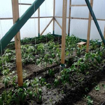 Продается Участок, 2190 м²