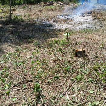 Продается Участок, 800 м²