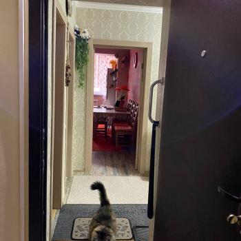 Продается 2-х комнатная квартира, 58,2 м²