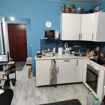 Продается 1-комнатная квартира, 24,8 м²