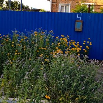 Продается Дом, 80 м²