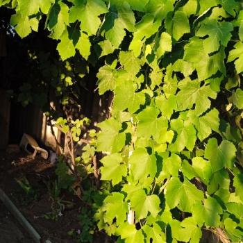 Продается Дом, 80 м²