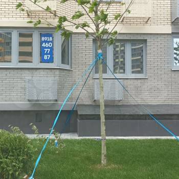 Продается Нежилое помещение, 40 м²