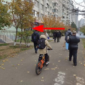 Сдается Нежилое помещение, 65,8 м²