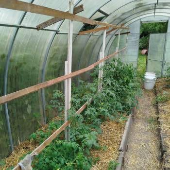 Продается Дом, 24 м²