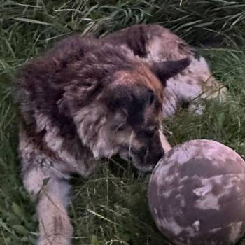 Продается Участок, 600 м²