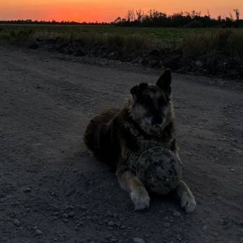 Продается Участок, 600 м²