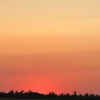 Продается Участок, 600 м²