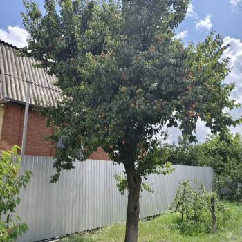 Продается Дом, 174 м²