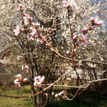 Продается Участок, 400 м²