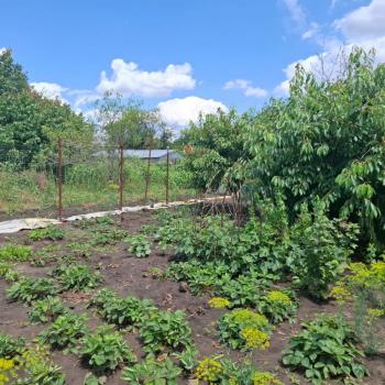 Продается Участок, 600 м²