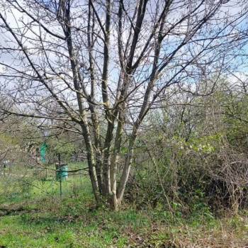 Продается Участок, 1000 м²