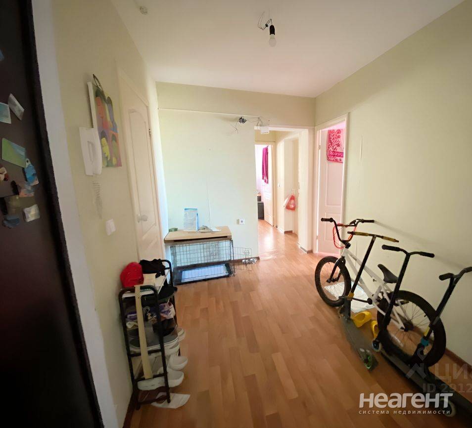 Фотография №2