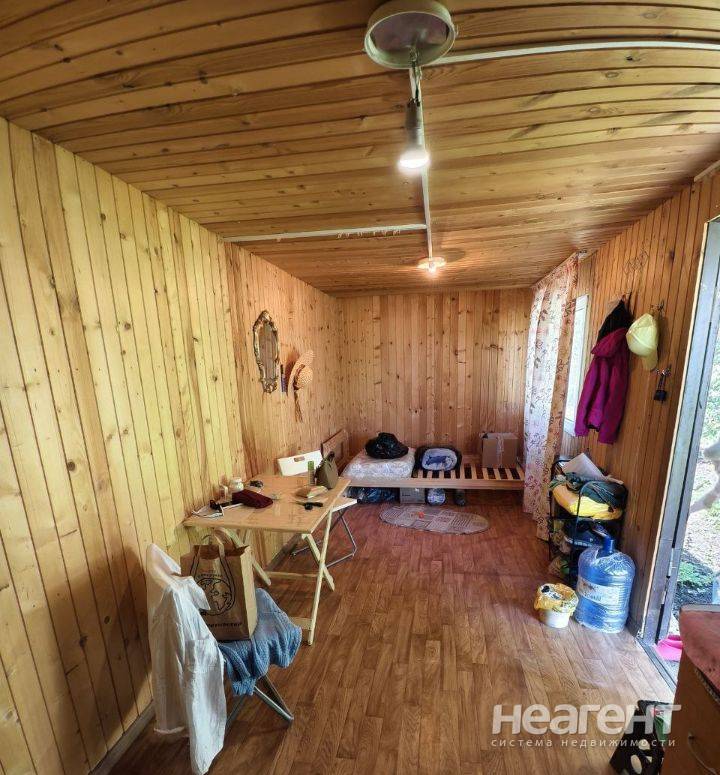 Фотография №2