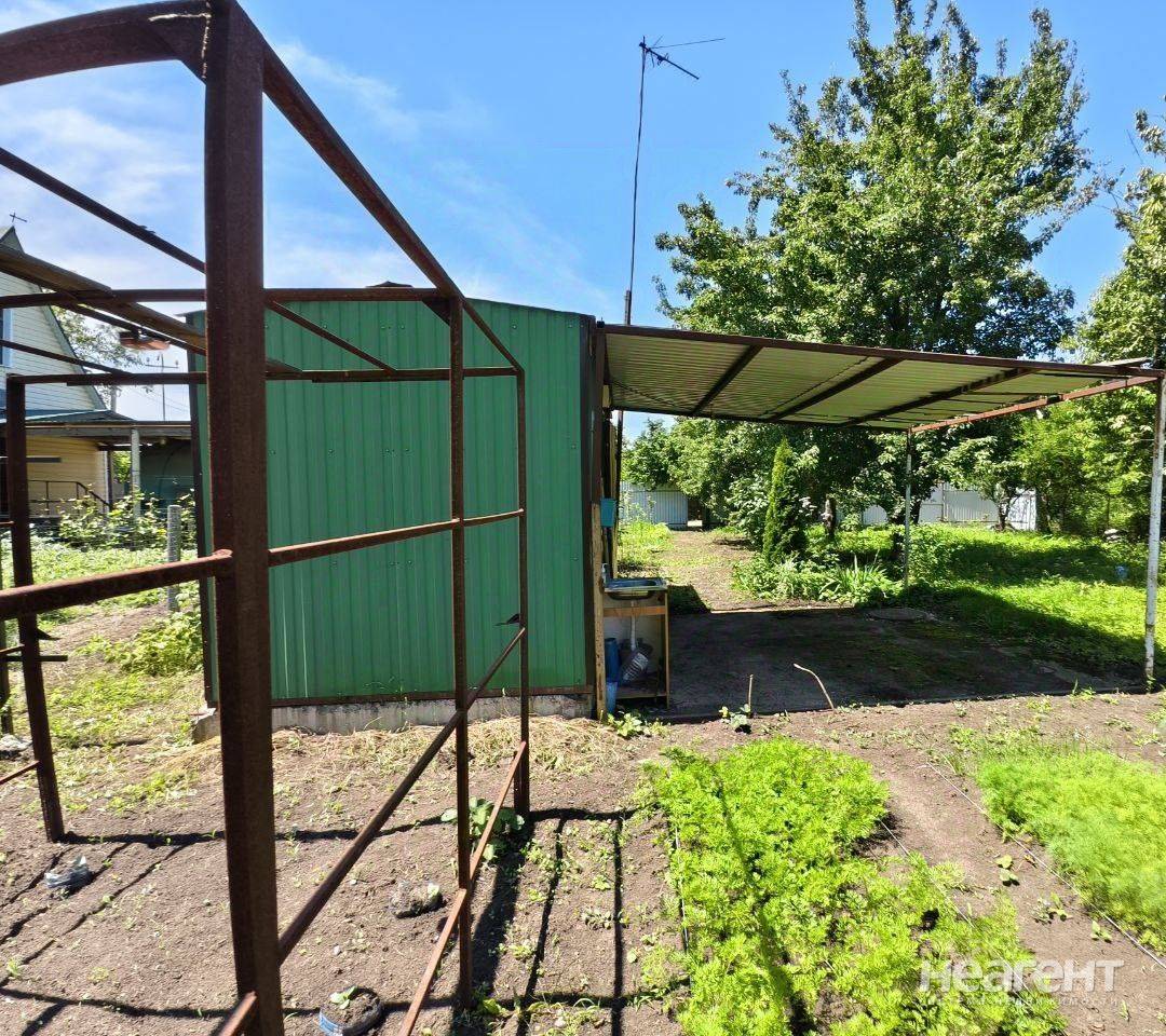 Фотография №3