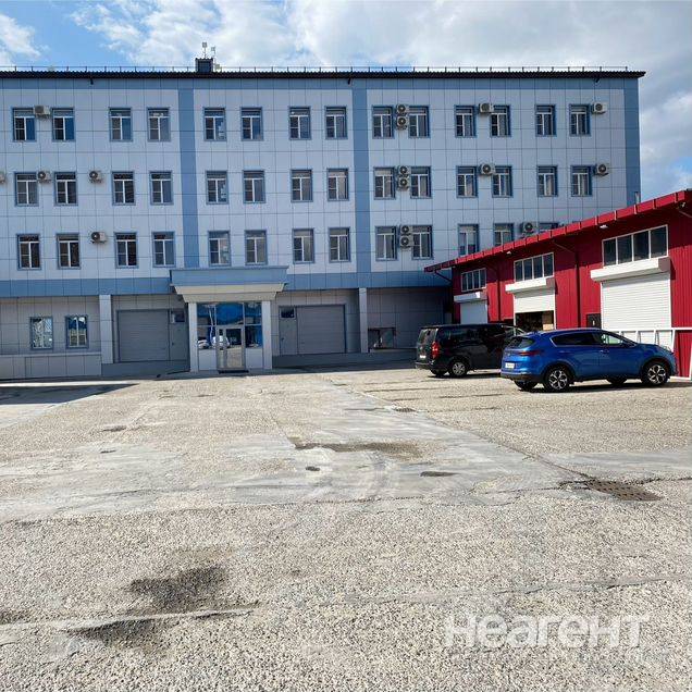 Фотография №3