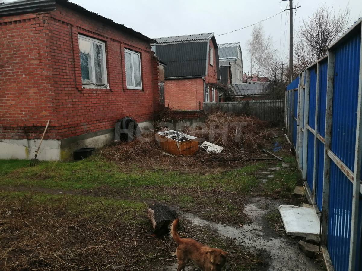 Фотография №2