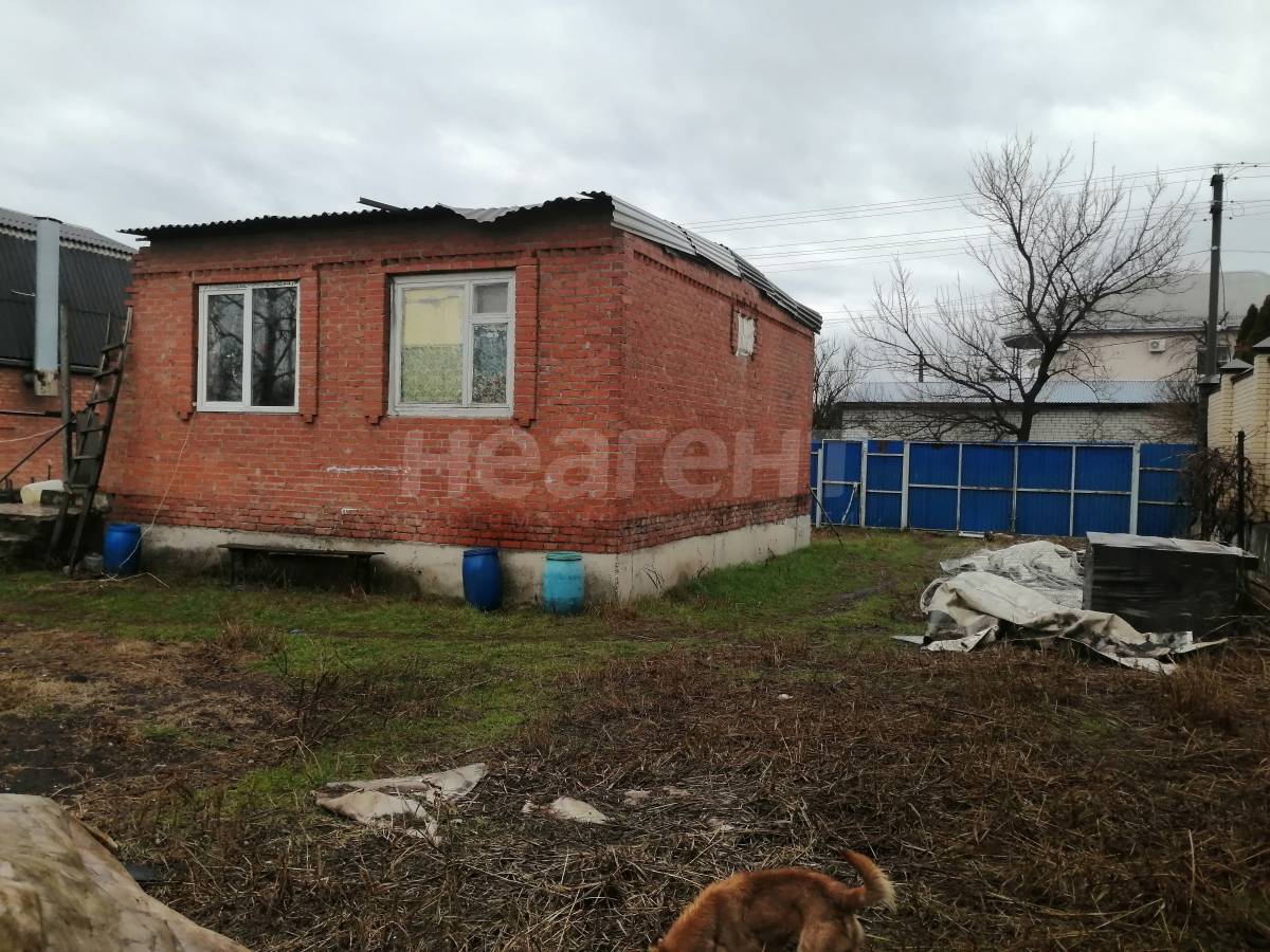 Фотография №4